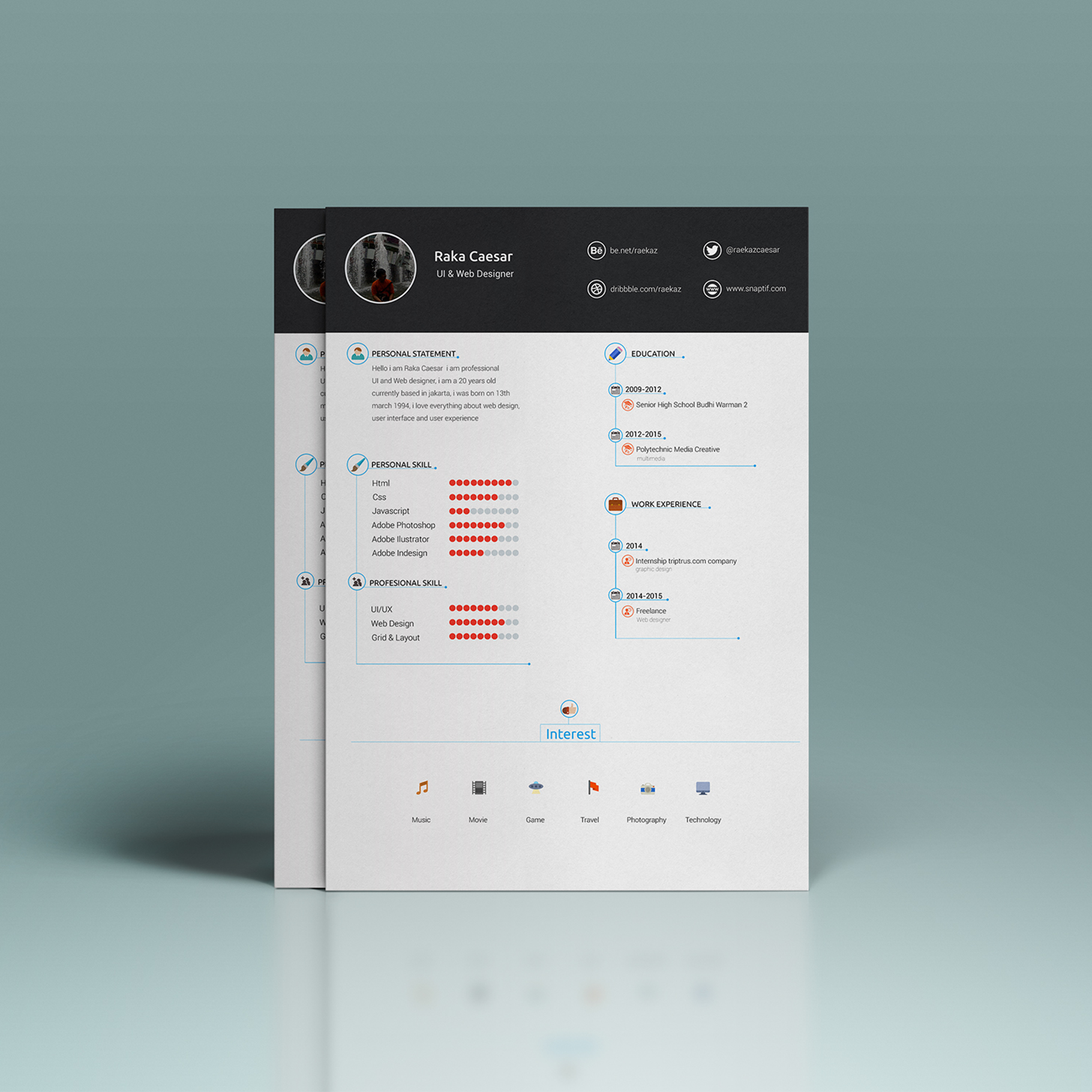 Academos - curriculum vitae Épuré